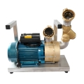 Tankschutz-Pumpe Heizölpumpe 240l/min. mit Vorfilter